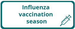FAQs on the flu season